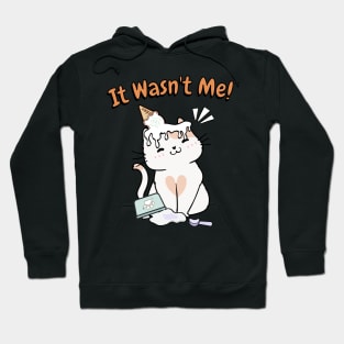 Funny persian cat got caught stealing ice cream Hoodie